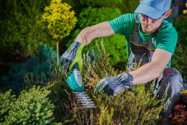 landscaping services Fort Jennings